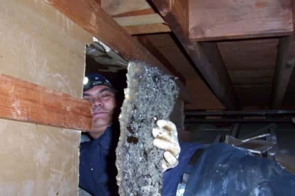 Our Work in Action — commercial kitchen exhaust hood cleaning, photo 40 of 101